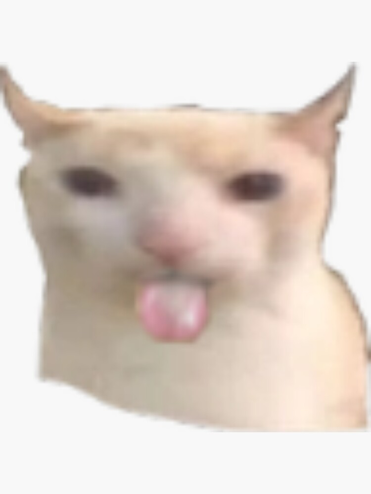 Gato